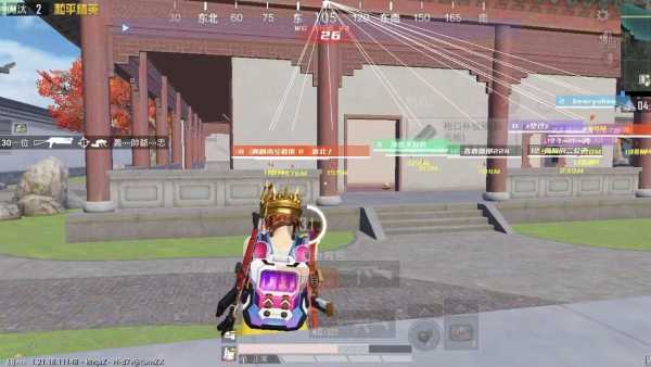 和平精英辅助【COCO】